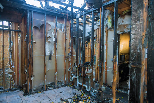 Professional Fire Damage Removal technician working in Queensland, MD